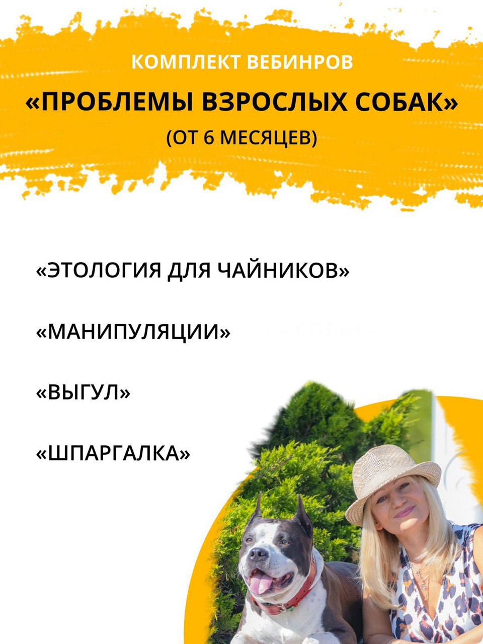 Комплект обучающих вебинаров «Проблемы взрослых собак»