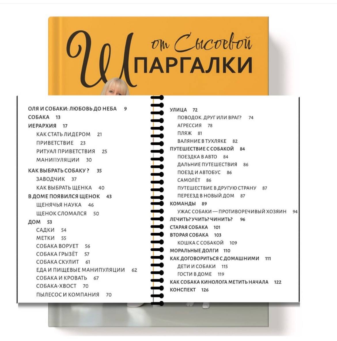 Электронная книга «Шпаргалки от Сысоевой». Издание второе — изображение 2