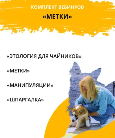 Комплект обучающих вебинаров «Метки»