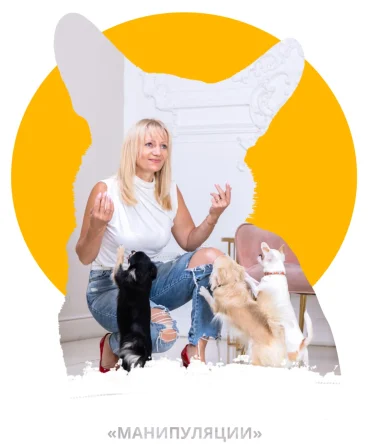 Обучающий вебинар в записи «Манипуляции»