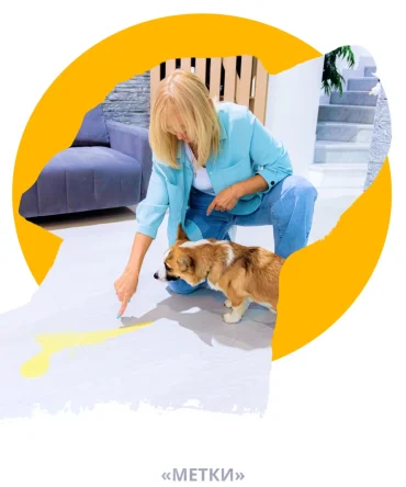 Обучающий вебинар в записи «Метки»